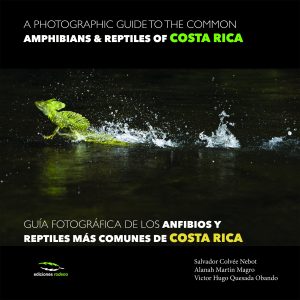 GUIA FOTOGRAFICA ANFIBIOS Y REPTILES COSTA RICA / A photografhic guide to the common Amphibians & Reptiles of Costa Rica